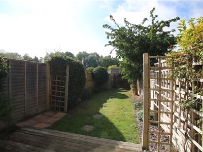 Picture 9